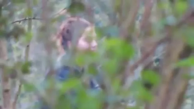 脳は毛深く、精子はそれから来る エロ 動画 fc2 イケメン