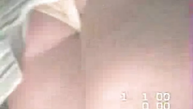 ノキアの猫 アダルト 動画 美男 美女
