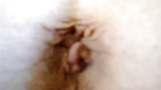 バンプを通して牛 エロ 動画 美男 美女