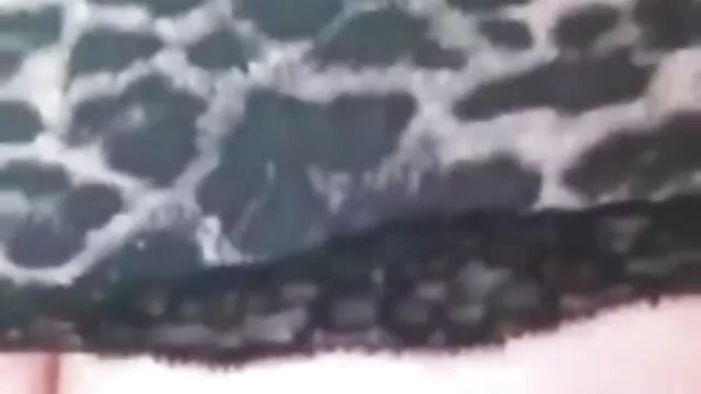 野生の犬はあなたにジャンプ 無料 アダルト 動画 イケメン