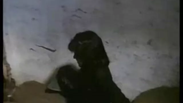 飲んで食べて始めよう 女性 av イケメン